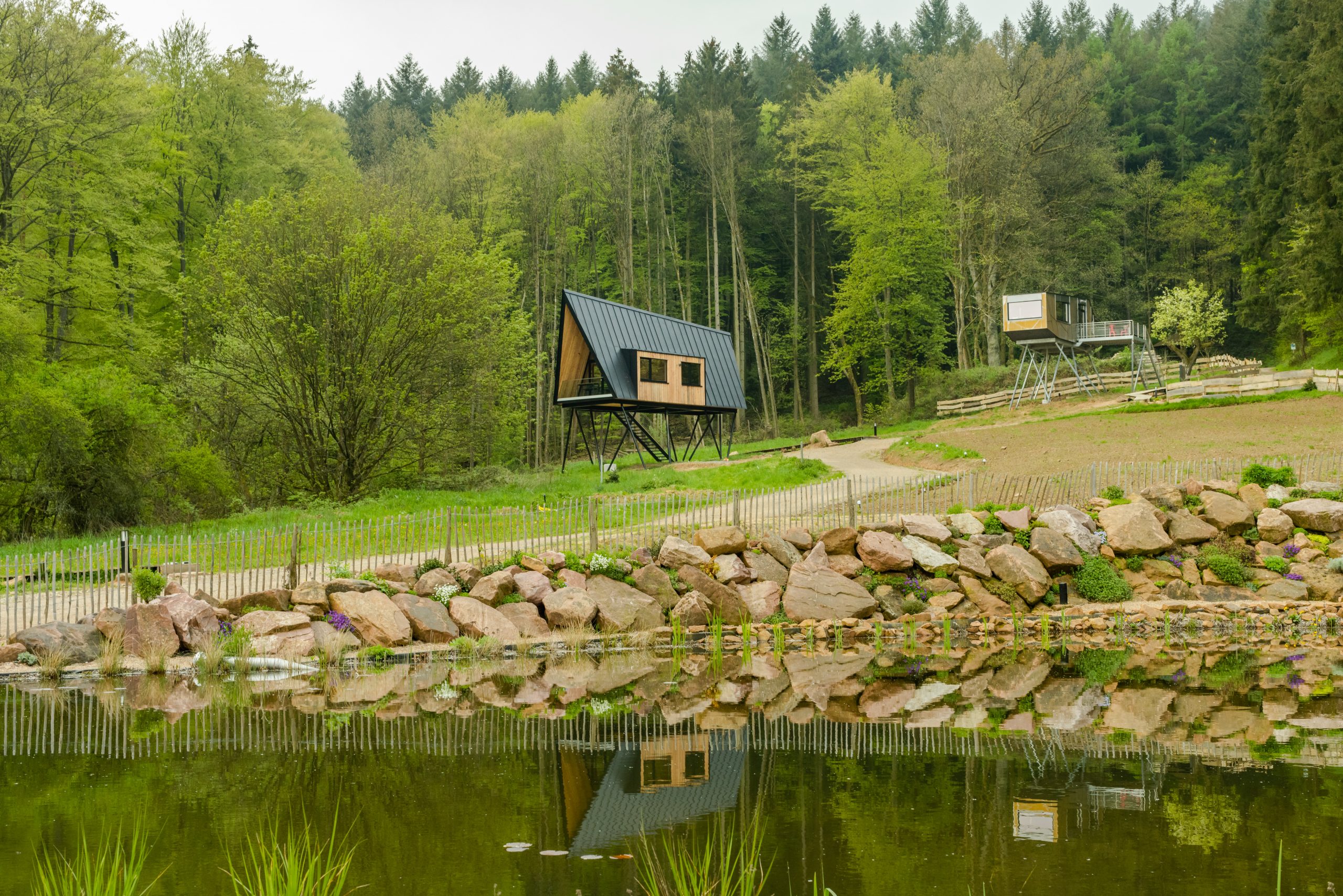 Baumhaus am Naturteich mit Steg